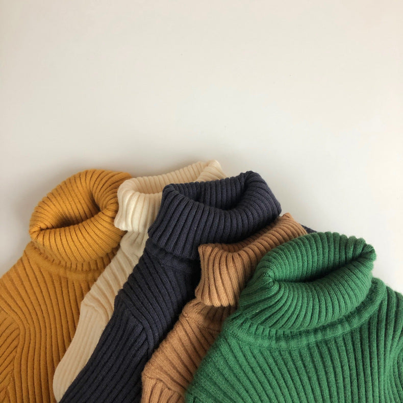 Turtleneck Knit Pullover